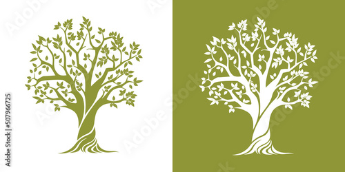 Olive Tree vector illustration. Extra virgin olive oil symbol. Organic tree silhouette logo