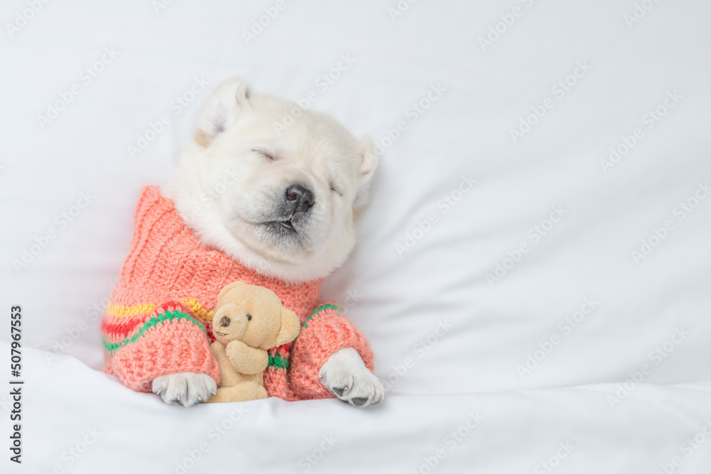 Cute Golden retriever puppy wearing warm sweater sleeps under white blanket on a bed at home and hugs favorite toy bear. Top down view. Empty space for text