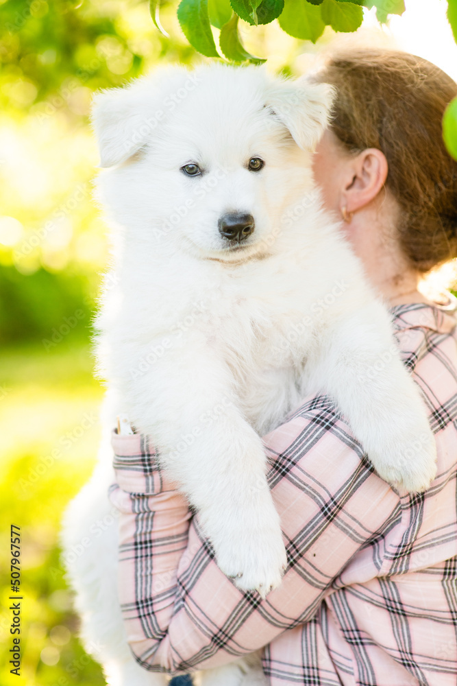 Owner hugs her White Swiss Shepherd puppy at sunny autumn park