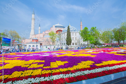 Photography Sultanahmet Square and Tulip Festival