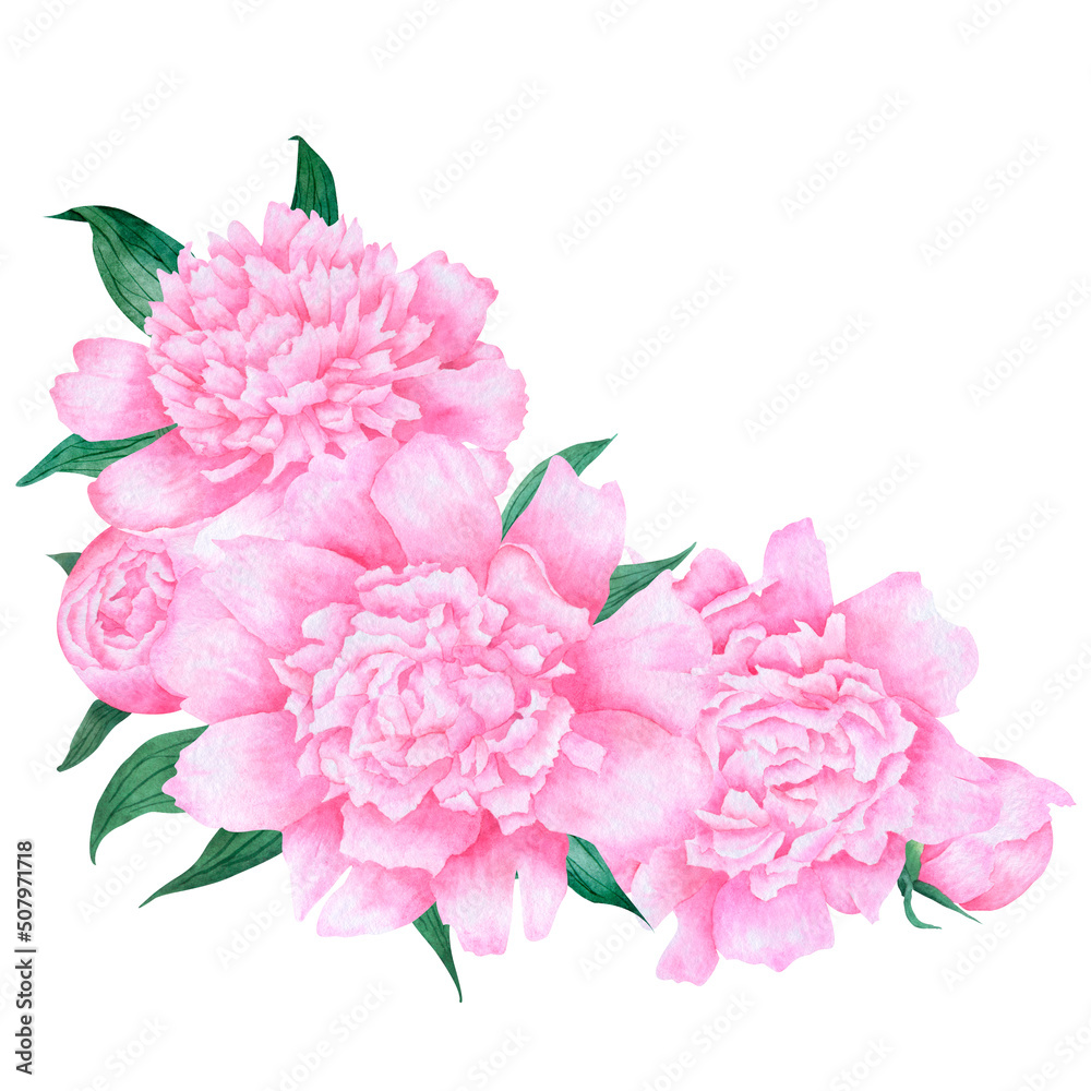Watercolor flower bouquet. Pink peonies composition with leaves isolated on white background. Watercolor flower arrangement for design. Watercolor flower bouquet. Pink peonies composition with leaves isolated on white background. Watercolor flower arrangement for design.