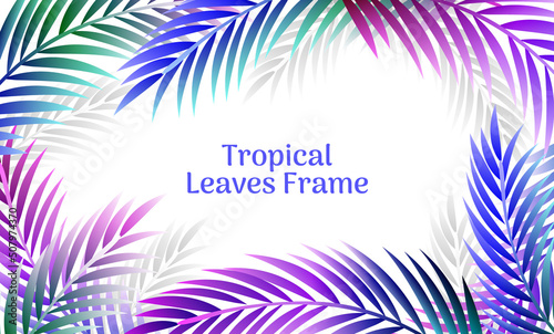 Colorful tropical palm leaves frame or border design