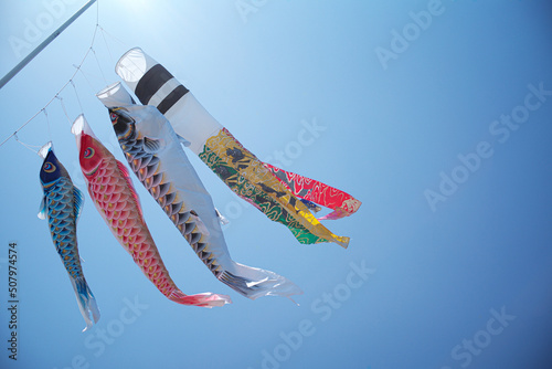 晴天の下のこいのぼり