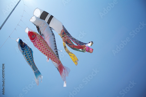 晴天の下のこいのぼり