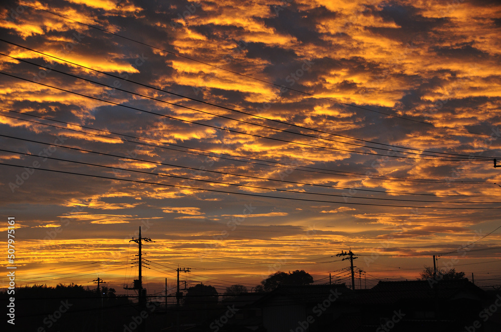 電線越しの朝焼け雲（11月）
