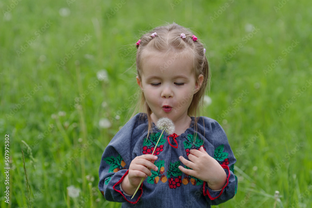 Little girl picking dandelion in meadow Little girl picking dandelion in meadow