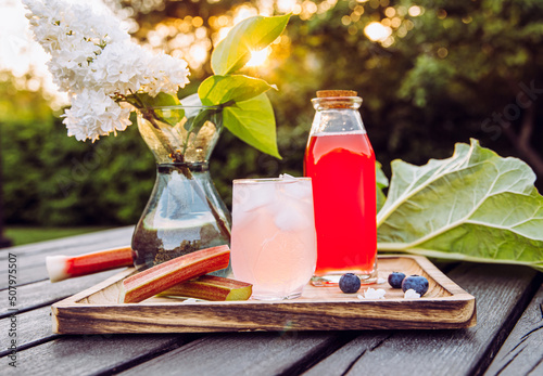 Homemade rhubarb syrup ( Rheum hybridum ). Nice pink liquid syrup in bottle and glass with juice and ice cubes in drinking glass on tray, decorated with rhubarb stalks. Refreshing spring drink. photo
