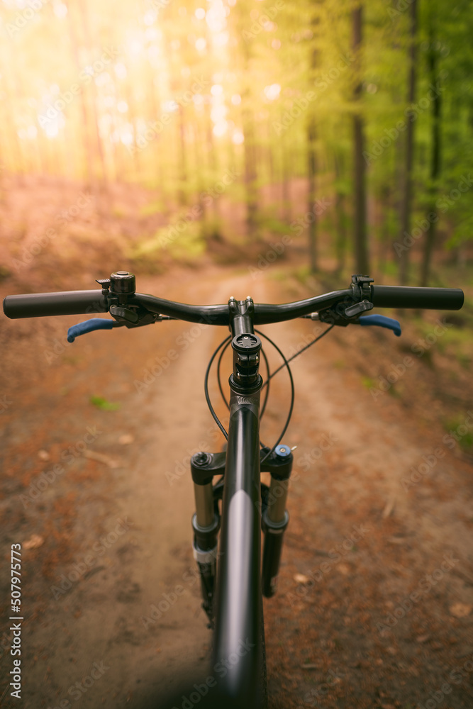 First person view of handling the bicycle on the empty forest road towards sunlight. Outdoor bike riding during sunny summer evening