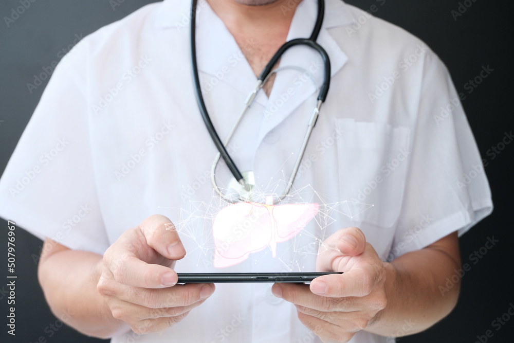 Holding a virtual doctor In my hand is a liver. Concept of scientific technology in healthcare, Innovation and medical technology. Holding a virtual doctor In my hand is a liver. Concept of scientific technology in healthcare, Innovation and medical technology.
