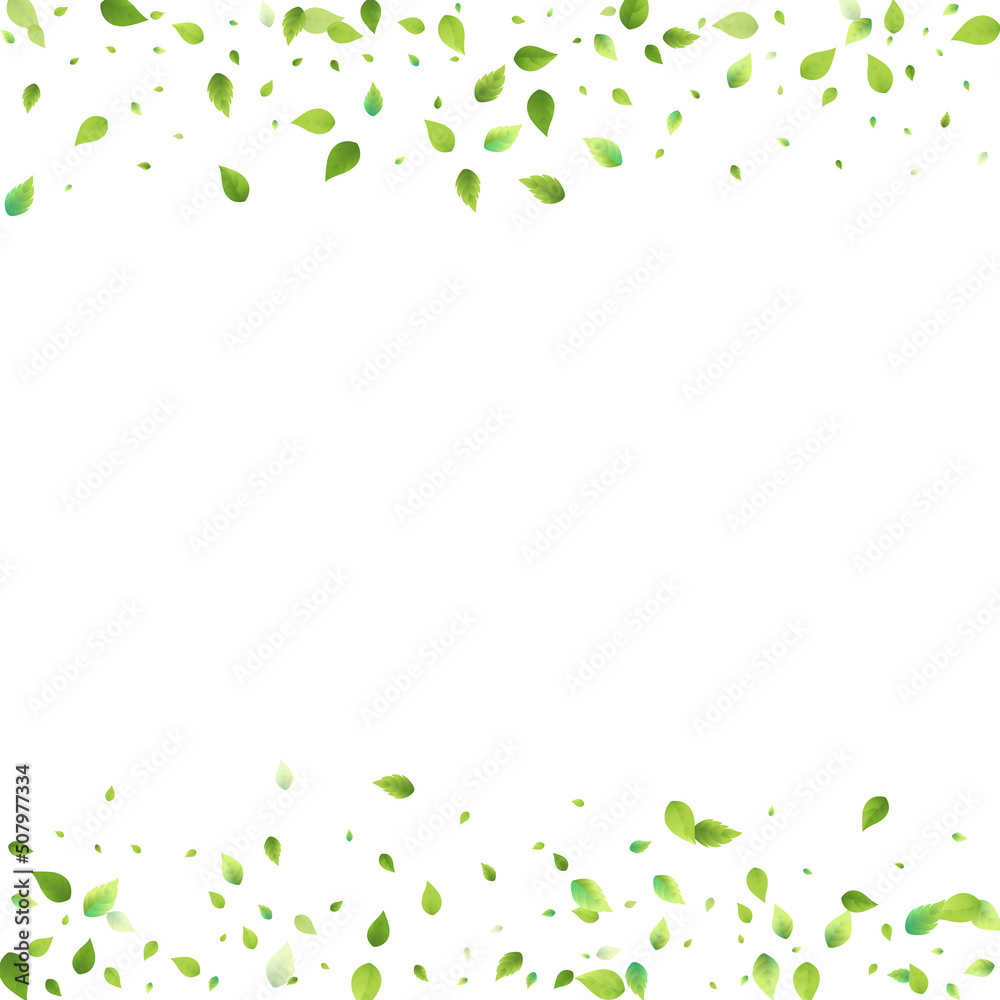 Leaves Green Falling Flying Foliage Leaf Tea Mint Leaves Green Falling Flying Foliage Leaf Tea Mint