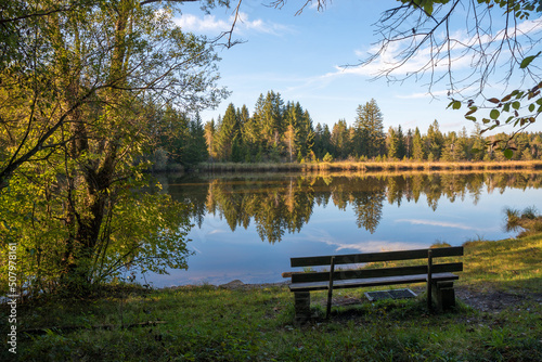 bench at lake shore Mooshamer Weiher, moor lake upper bavaria in autumn