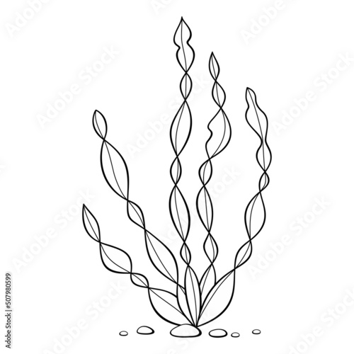 Seaweed isolated on white background. Underwater plant vector illustration.