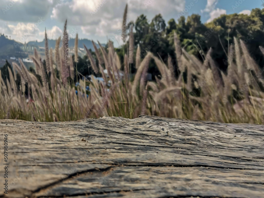 Top of wooden table and blurred nature background. Top of wooden table and blurred nature background.