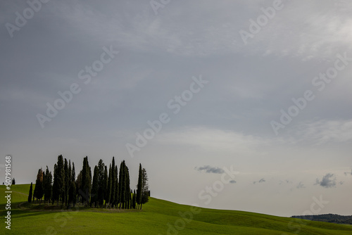 Obraz na płótnie tuscany, green nature w salonie