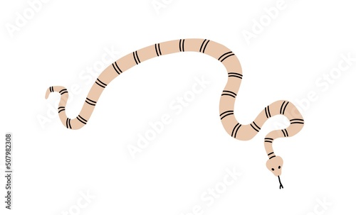 Striped snake with tongue crawling. Twisted crooked animal. Curvy bending body of reptile, top view. Flat vector illustration isolated on white background
