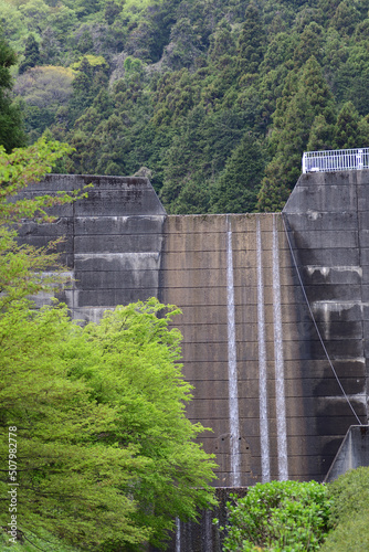 Wallpaper Mural 春の雀川砂防ダム（埼玉県ときがわ町） Torontodigital.ca
