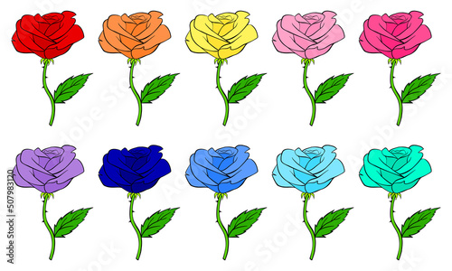 Roses cartoon icon set. Rose vector illustration isolated on white background. Different colors.