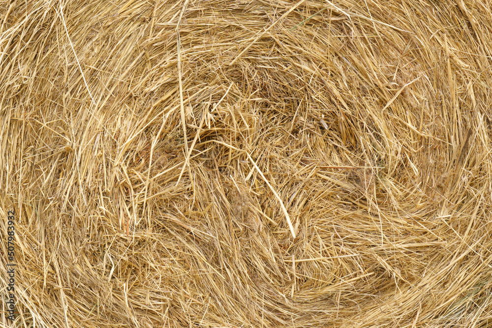 Straw, dry straw, hay straw yellow background, hay straw texture Straw, dry straw, hay straw yellow background, hay straw texture