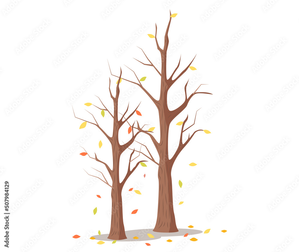 Leafless dry tree, autumn season, yellow leaves fall down from tree, empty trunk and branches. Wooden garden, autumn forest, isolated plant. Death plant in park due to climate change in environment