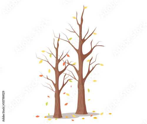 Leafless dry tree  autumn season  yellow leaves fall down from tree  empty trunk and branches. Wooden garden  autumn forest  isolated plant. Death plant in park due to climate change in environment