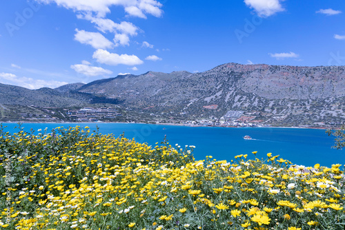 Blick von der Insel Spinalonga auf das Festland bei Agios Nikolaos  mit gelb bl  henden Blumen  strahlend blauem Meer und Wolken - Kreta - Griechenland