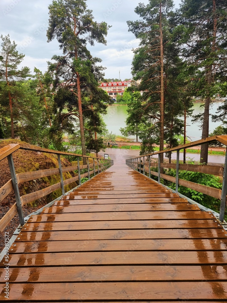 boardwalk in the forest boardwalk in the forest