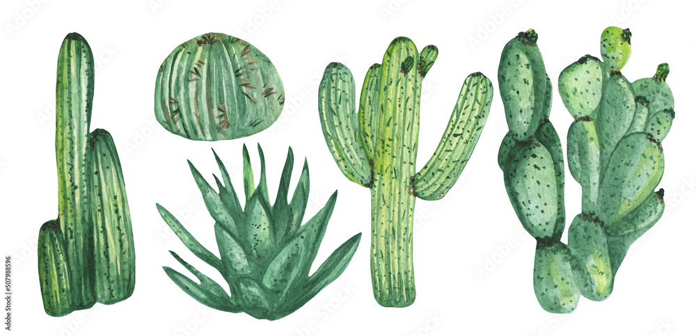 Watercolor set of cacti, succulents, pebbles. Illustration on white background. Great for cards, invitations, weddings, blogs and more. Watercolor set of cacti, succulents, pebbles. Illustration on white background. Great for cards, invitations, weddings, blogs and more.