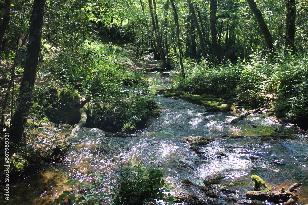 Biches sauvages dans un pré, château, ruisseau, Perroquet dans un arbre Biches sauvages dans un pré, château, ruisseau, Perroquet dans un arbre