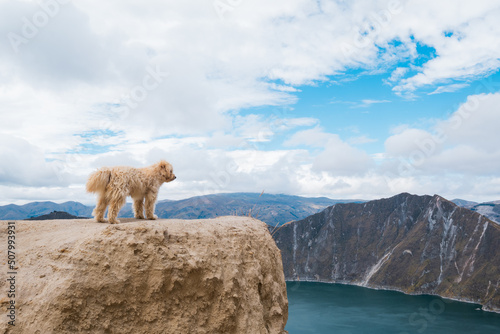 Fotótapéta Cute dog on top of a mountain watching a beautiful crater lake, Quilotao of Ecua