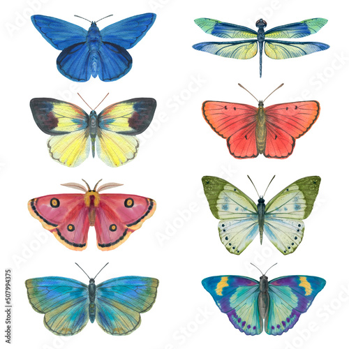 Set of watercolor butterflies isolated on white background. Butterflies drawn on paper for design, print, wallpaper, textile.