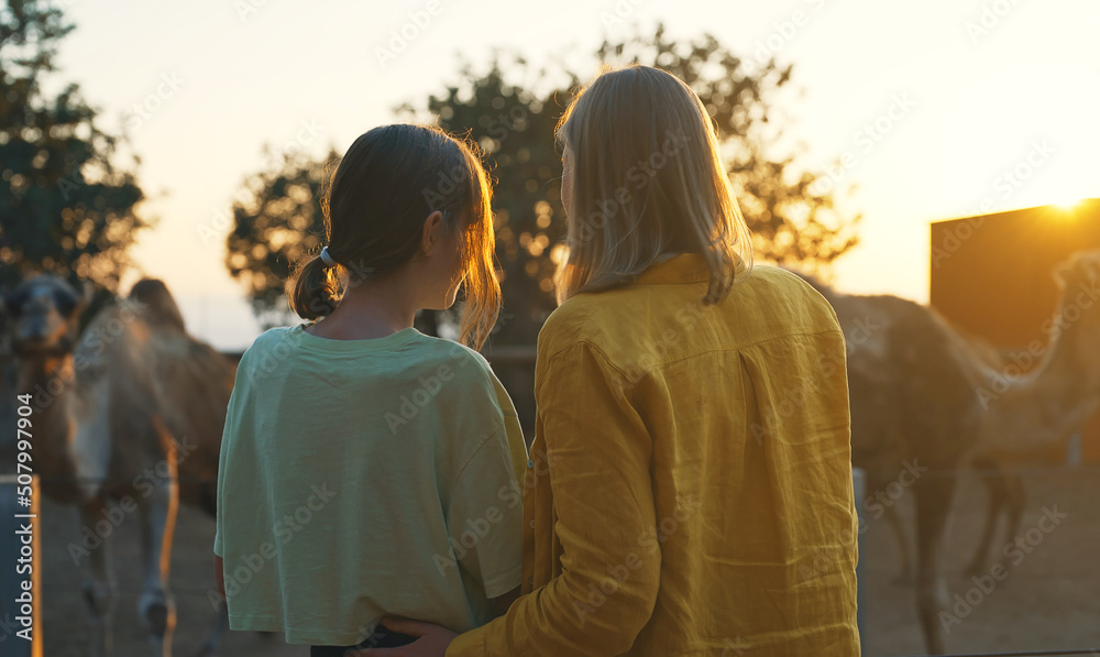 Woman and her daughter are watching camels. Woman and her daughter are watching camels.