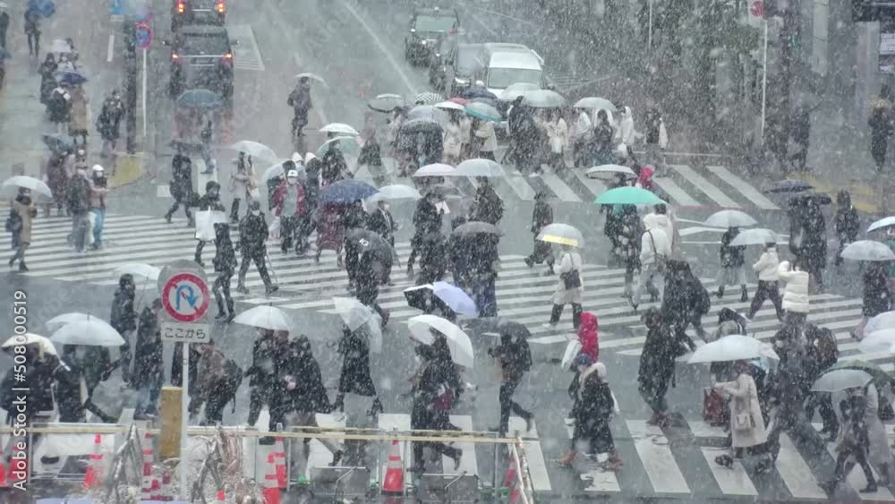 SHIBUYA, TOKYO, JAPAN - 6 JAN 2022 : Winter snow scenery around Shibuya crossing and station. Crowd of people at the street. Japanese urban city winter season and Christmas concept. Slow motion video. SHIBUYA, TOKYO, JAPAN - 6 JAN 2022 : Winter snow scenery around Shibuya crossing and station. Crowd of people at the street. Japanese urban city winter season and Christmas concept. Slow motion video.