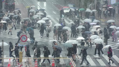 Wallpaper Mural SHIBUYA, TOKYO, JAPAN - 6 JAN 2022 : Winter snow scenery around Shibuya crossing and station. Crowd of people at the street. Japanese urban city winter season and Christmas concept. Slow motion video. Torontodigital.ca