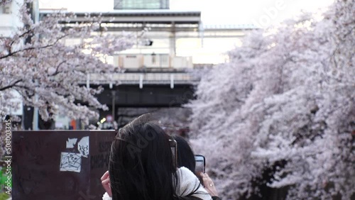 NAKAMEGURO, TOKYO, JAPAN - APRIL 2022 : View of Cherry blossoms at Meguro river and unidentified people enjoying the scenery. Japanese spring season concept video. Slow motion shot. photo