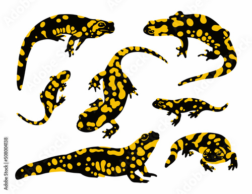 vector fire salamander set 