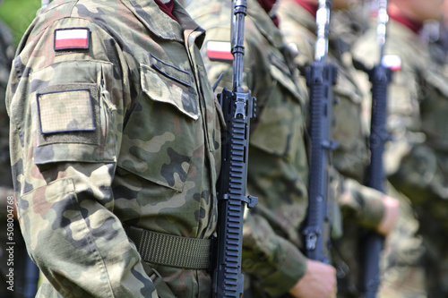 Polscy żołnierze ustawieni w szeregu.