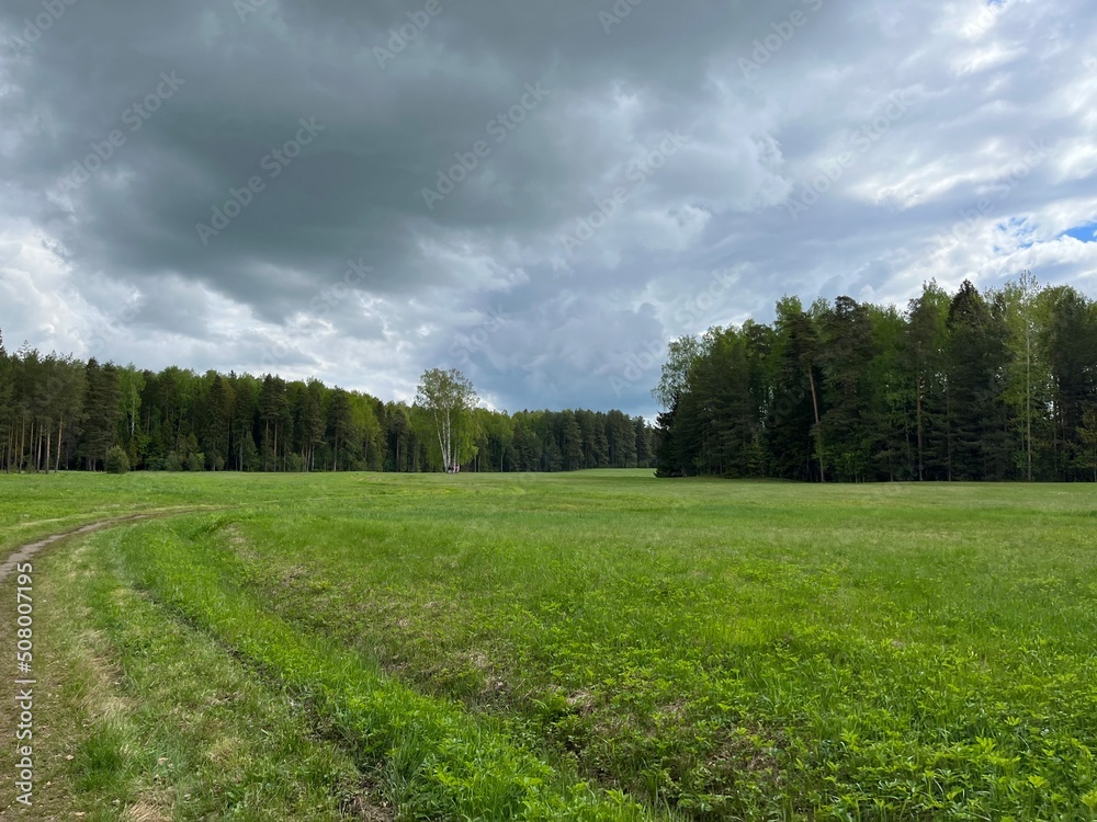 Obraz premium green field and forest background, cloudy sky