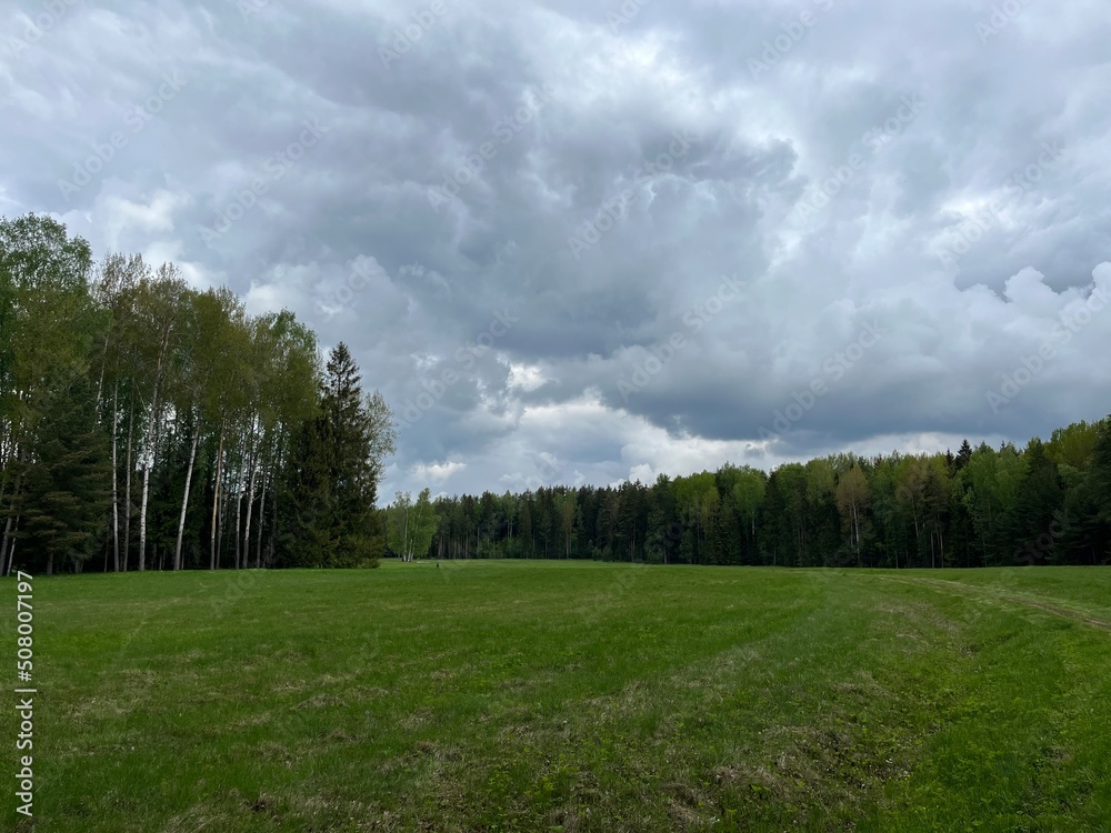Fototapeta premium green field and forest background, cloudy sky