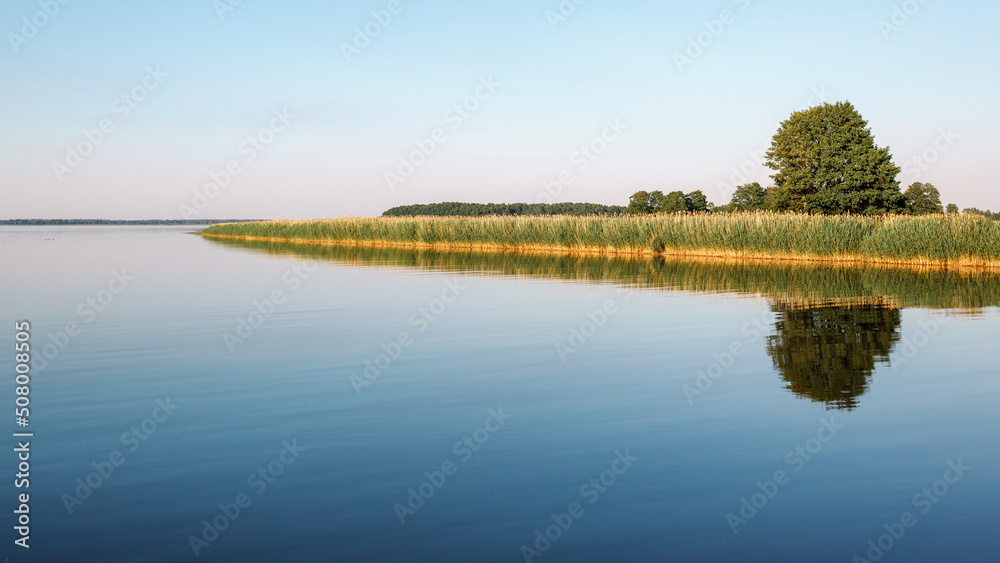 Calm and smooth water of the lagoon, and reflection of a large tree and lush vegetation in it.