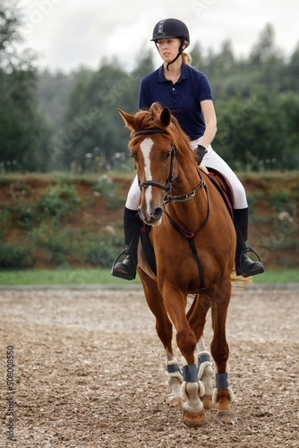 Equestrian sport -young girl rides on horse.