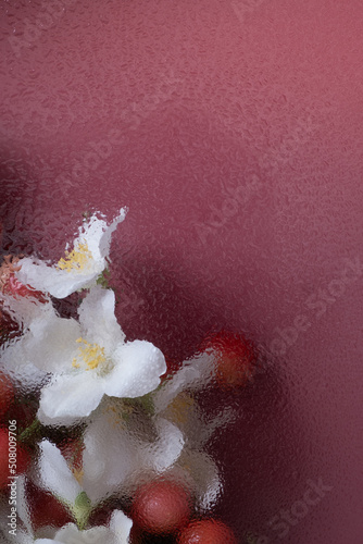 Flowers under glass with water drops. Trendy floral creative background