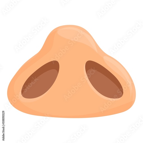 Plastic rhinoplasty icon cartoon vector. Nose surgery. Bone anatomy