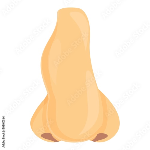 Nose bone icon cartoon vector. Rhinoplasty face. Plastic surgery