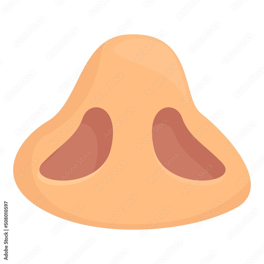 Skin nose surgery icon cartoon vector. Bone anatomy. Nasal plastic Skin nose surgery icon cartoon vector. Bone anatomy. Nasal plastic