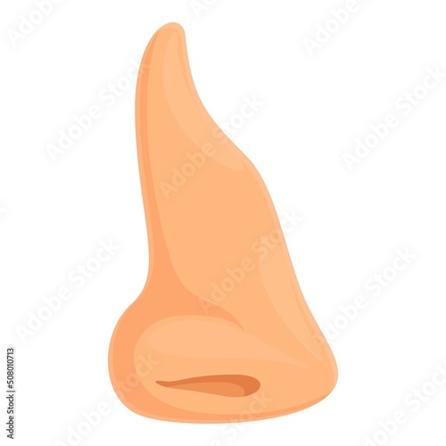 Cosmetic nose operation icon cartoon vector. Plastic surgery. Inside face