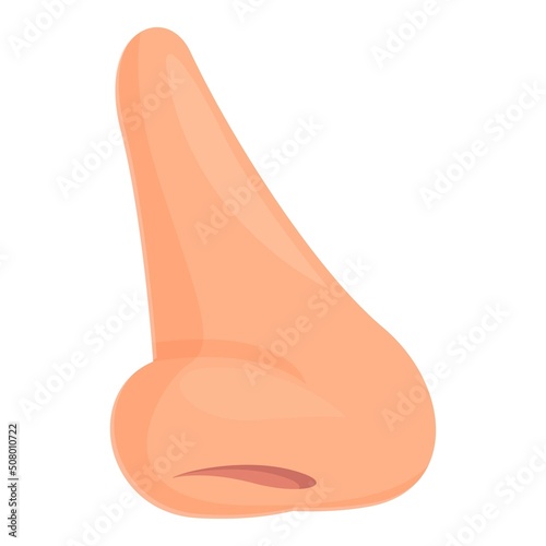 Septum rhinoplasty icon cartoon vector. Nose surgery. Nasal skin