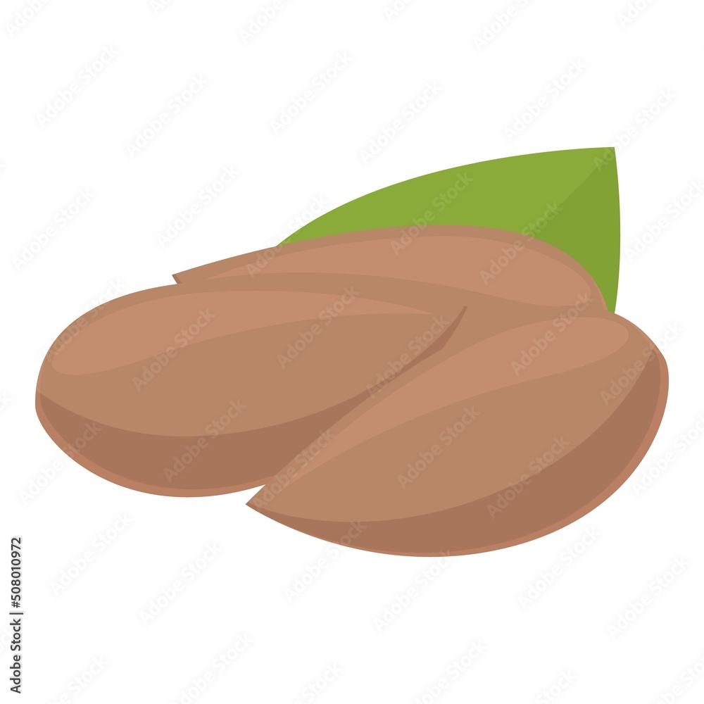 Lutein nuts icon cartoon vector. Dietary food. Health ad