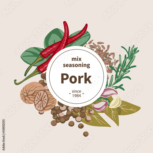 Seasoning cover concept spices for pork Oregano, Chili pepper, Garlic, Bay leaf, Allspice, Nutmeg, Rosemary, Caraway. Top view. Flat style. Vector illustration
