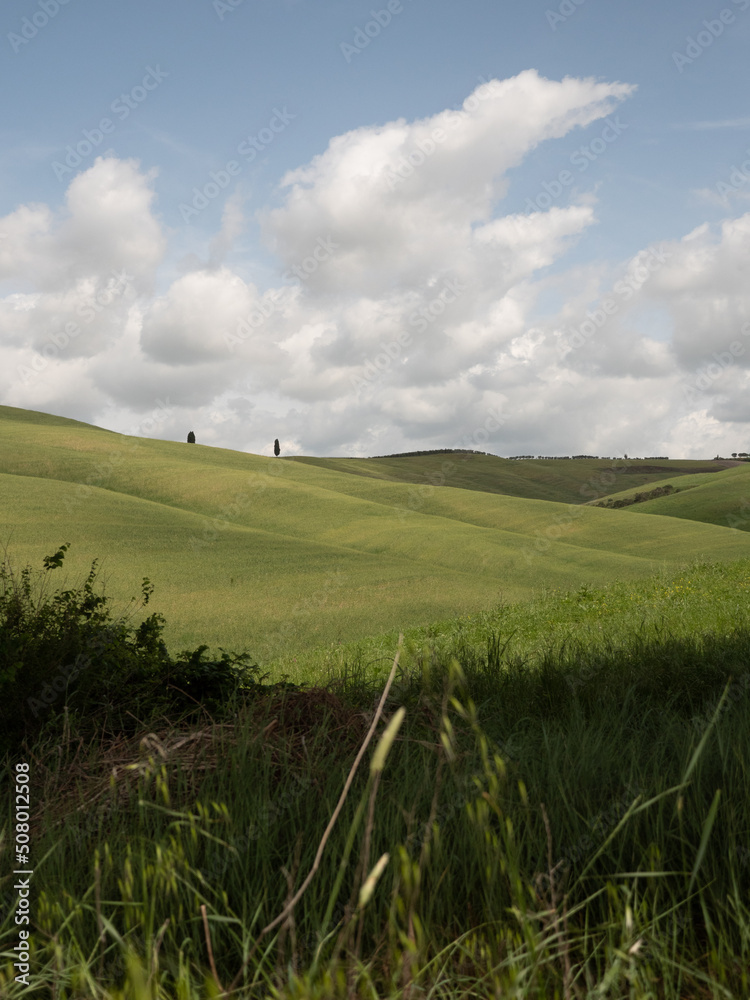 Obraz premium Val d'Orcia