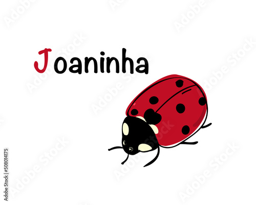 Portuguese alphabet with a picture of a ladybug. Translation from Portuguese: ladybug. Vector doodle hand drawn illustration